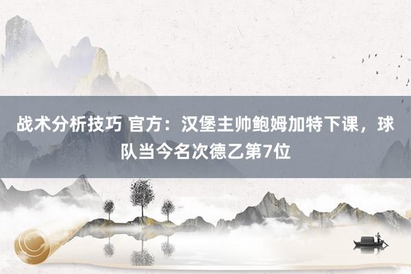 战术分析技巧 官方：汉堡主帅鲍姆加特下课，球队当今名次德乙第7位