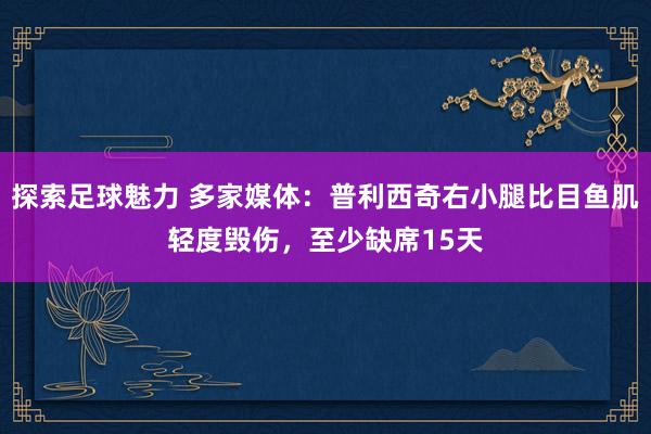 探索足球魅力 多家媒体：普利西奇右小腿比目鱼肌轻度毁伤，至少缺席15天