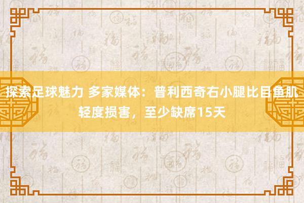 探索足球魅力 多家媒体：普利西奇右小腿比目鱼肌轻度损害，至少缺席15天