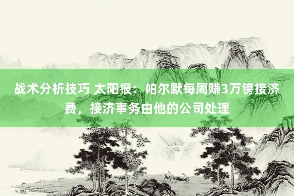 战术分析技巧 太阳报：帕尔默每周赚3万镑接济费，接济事务由他的公司处理