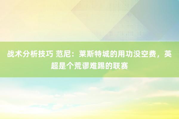 战术分析技巧 范尼：莱斯特城的用功没空费，英超是个荒谬难踢的联赛