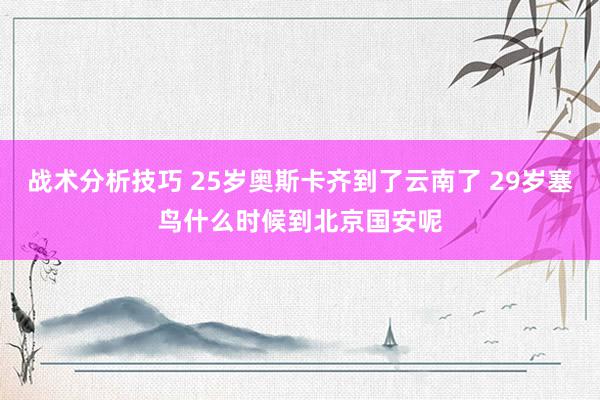 战术分析技巧 25岁奥斯卡齐到了云南了 29岁塞鸟什么时候到北京国安呢